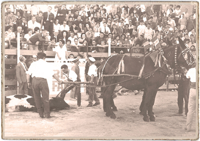 FOTOS ANTIGUAS DE BOADILA