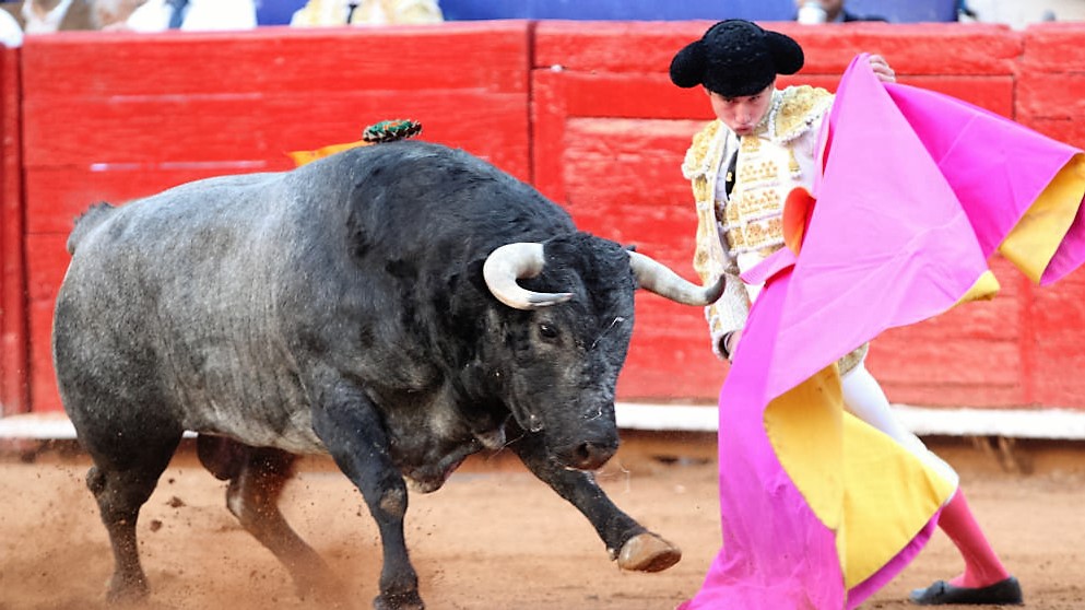 CORRIDAS DE TOROS  FERIA DE SAN ISIDRO